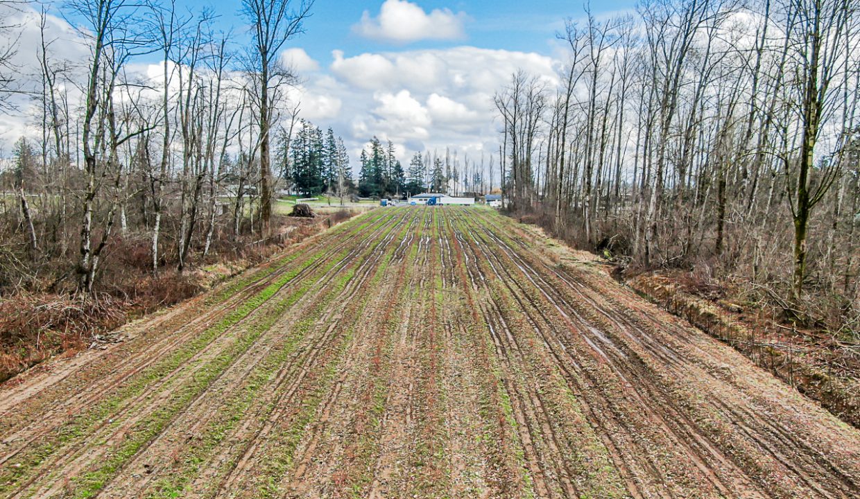 2275 240 Street Langley-41