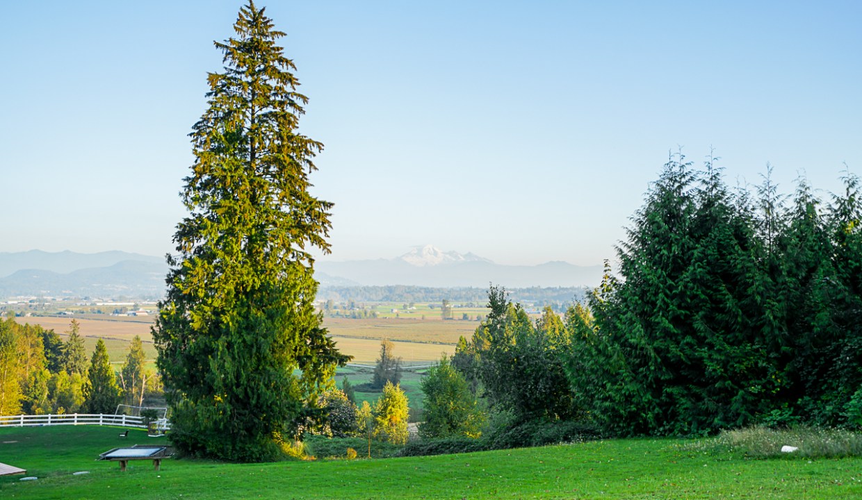 31050 Harris Road Abbotsford-34