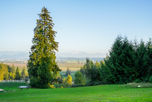 31050 Harris Road Abbotsford-34
