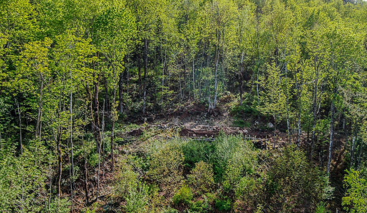 44390 Bayview Road Lake Errock-53