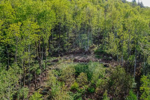 44390 Bayview Road Lake Errock-53