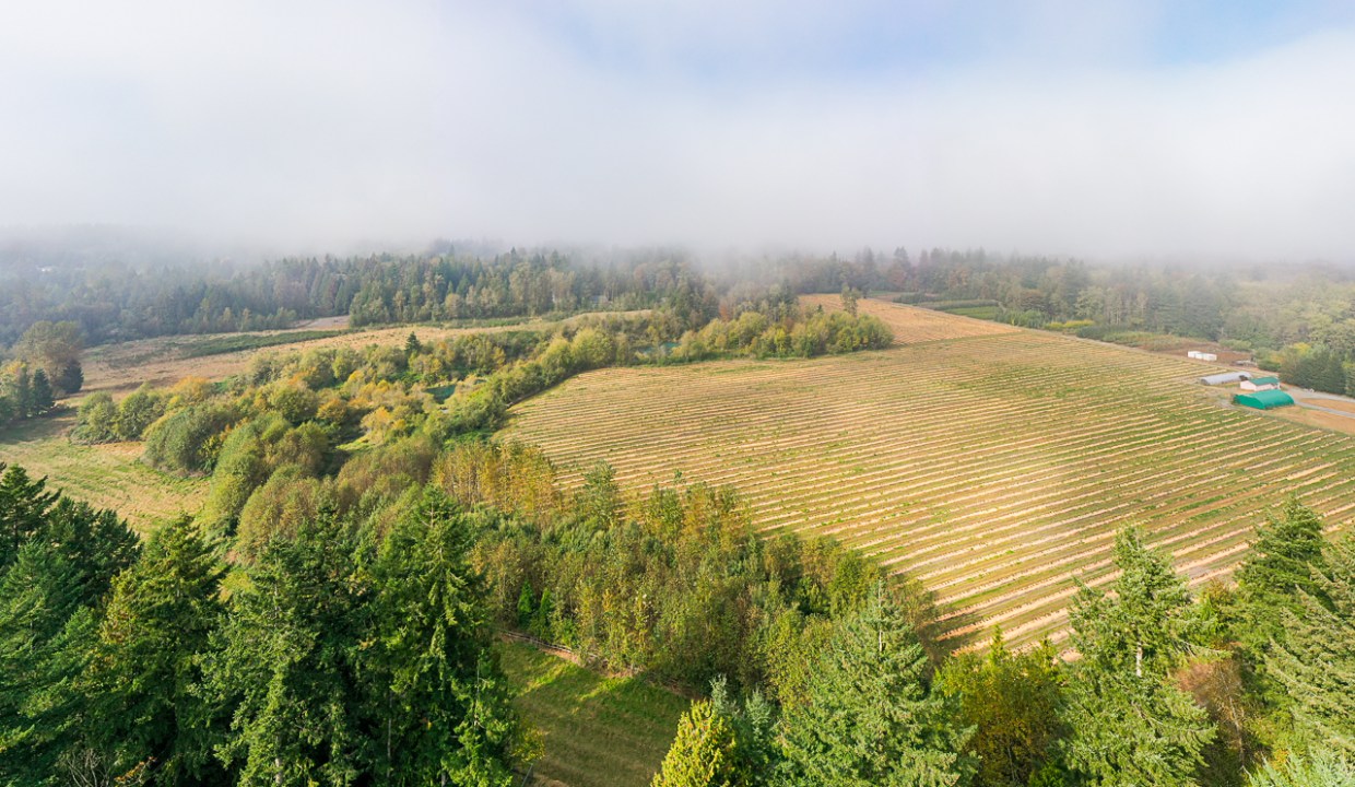 24576 64 Avenue Aldergrove-10