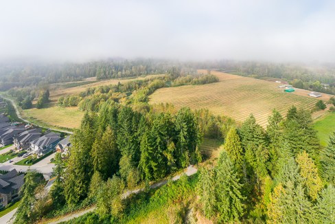 24576 64 Avenue Aldergrove-11