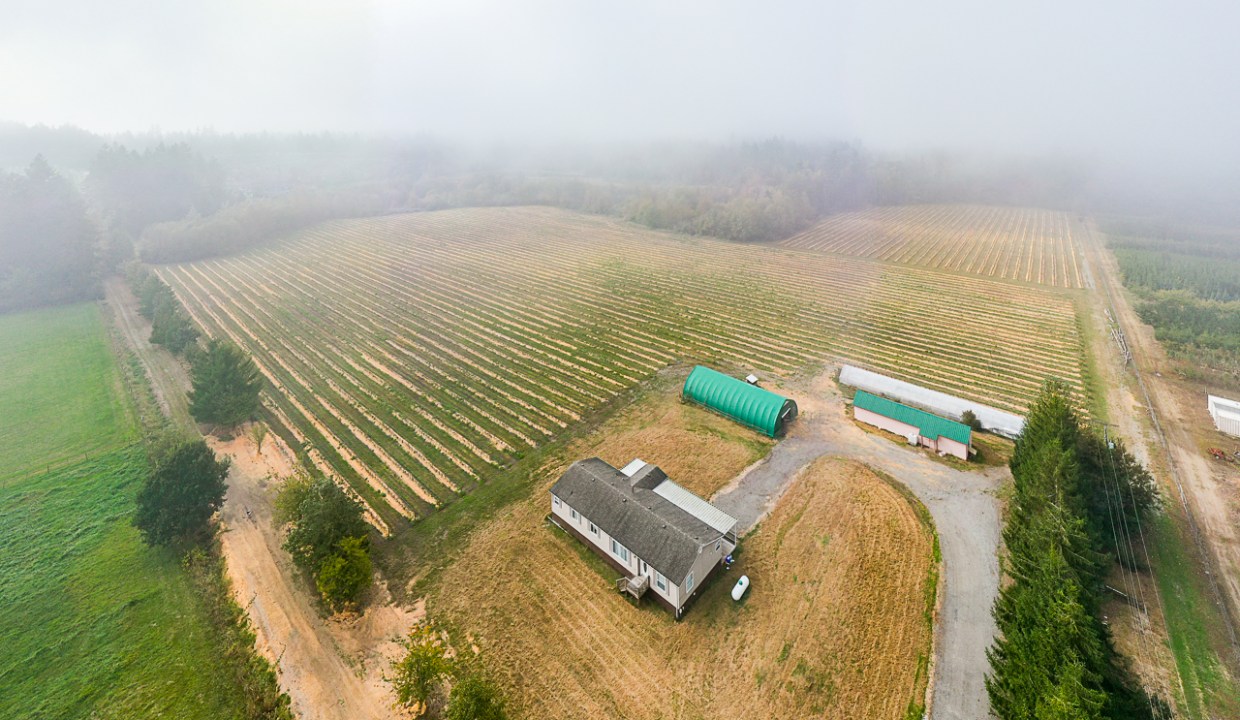 24576 64 Avenue Aldergrove-3