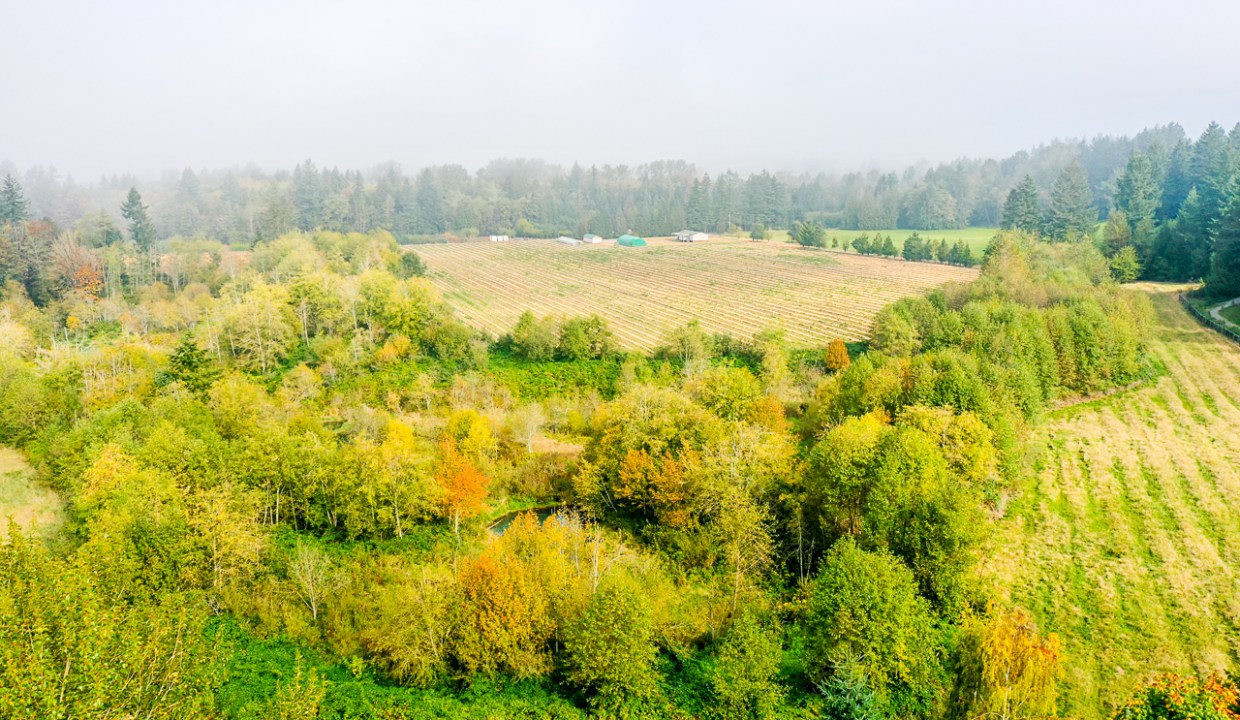 24576 64 Avenue Aldergrove-7