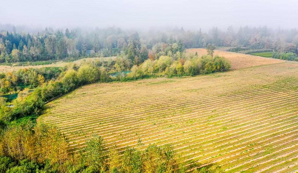 24576 64 Avenue Aldergrove-8