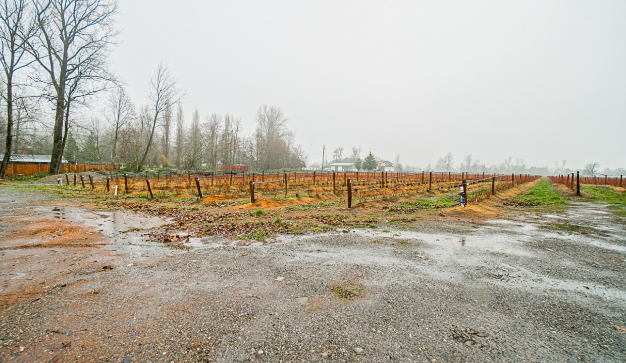 4095 Eckert Street Chilliwack-37
