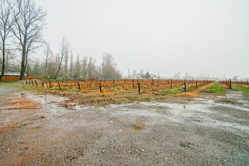 4095 Eckert Street Chilliwack-37