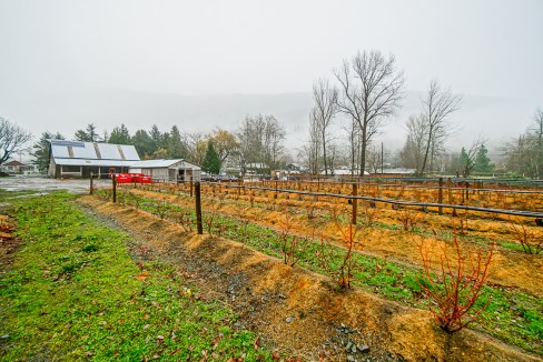 4095 Eckert Street Chilliwack-43