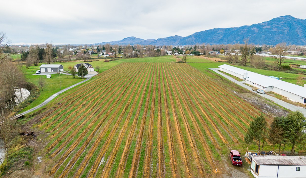 4095 Eckert Street Chilliwack Drone-5