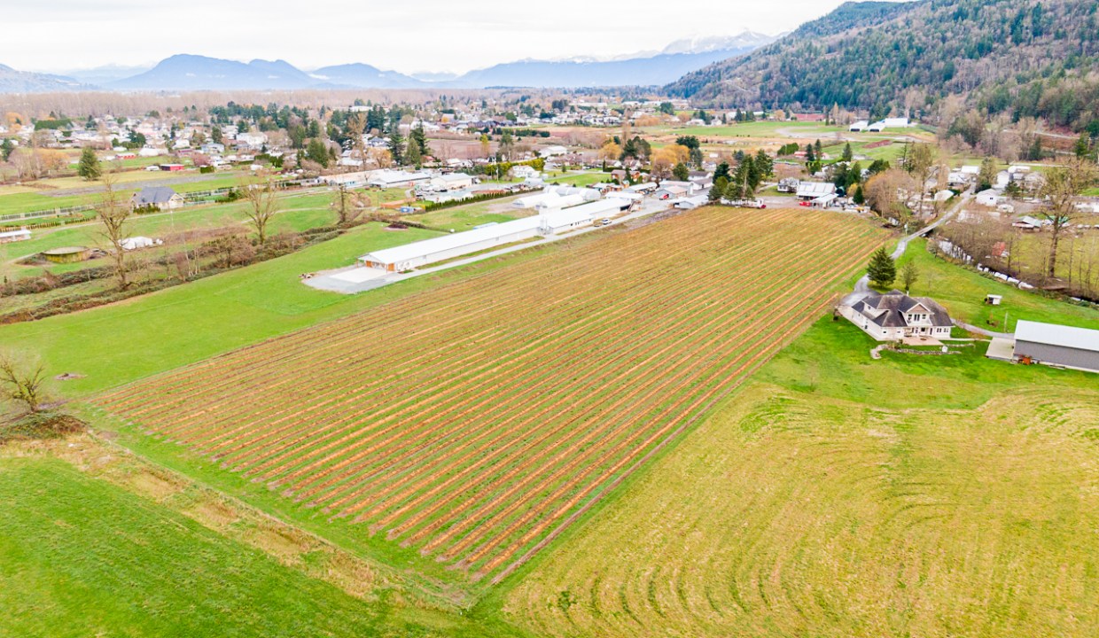 4095 Eckert Street Chilliwack Drone-7